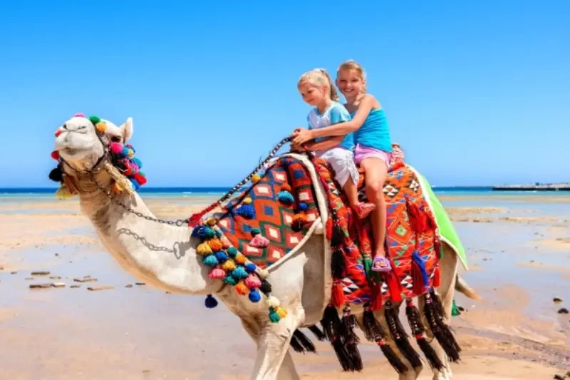 Vacanza al Cairo e Marsa Alam ad Agosto, esperienza indimenticabile tra storia e mare