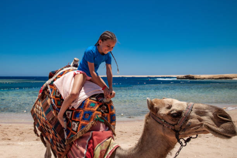 Egitto ad agosto: Guida completa per una vacanza estiva indimenticabile