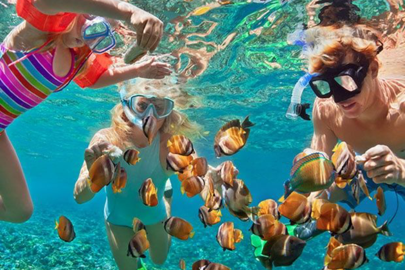 Egitto ad agosto: Guida completa per una vacanza estiva indimenticabile
