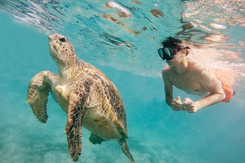 Egitto ad agosto: Guida completa per una vacanza estiva indimenticabile