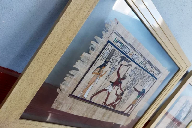 Papiri Egiziani: storia, significato e immagini del papiro antico