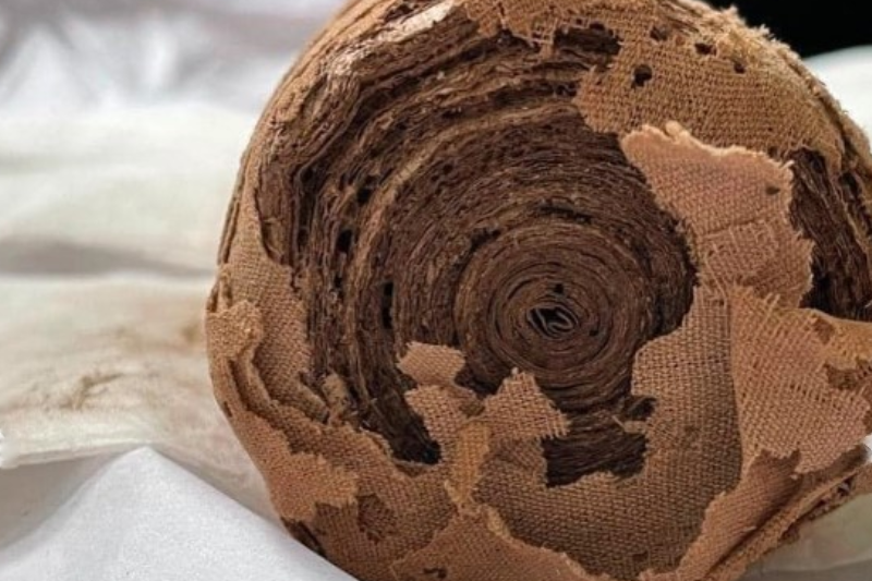 Papiri Egiziani: storia, significato e immagini del papiro antico
