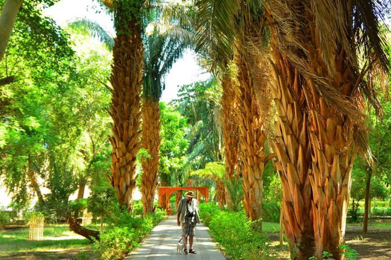 Il Giardino Botanico di Assuan con piante tropicali e viste sul Nilo