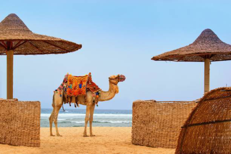 Sharm el Sheikh: spiagge, mare cristallino e resort di lusso