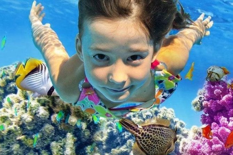 Snorkeling a Marsa Alam con barriera corallina, pesci tropicali e acque turchesi del Mar Rosso