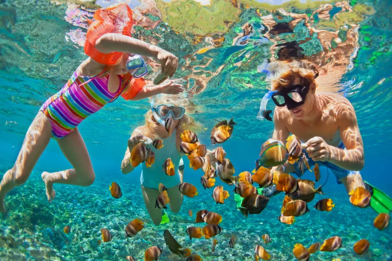 Marsa Alam e Sharm el Sheikh: mare cristallino, spiagge e resort ideali per le vacanze