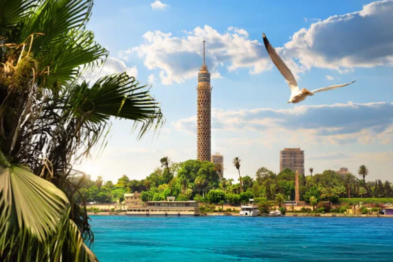Il Cairo cosa vedere: moschee, piramidi e vita che brulica a ogni angolo